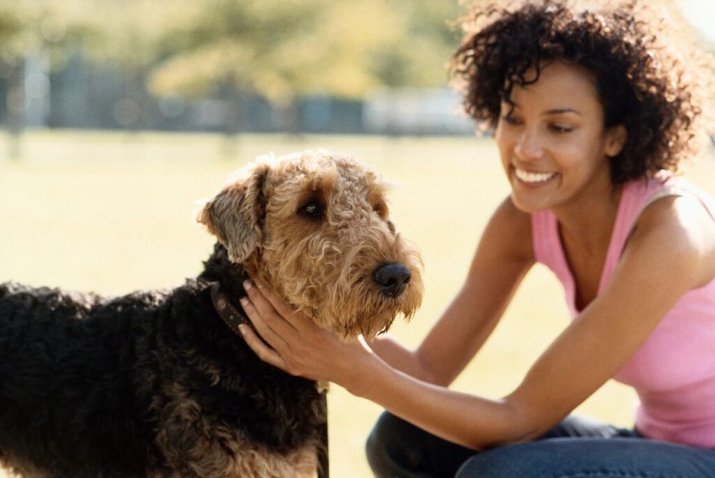 Aus Liebe zum Hund- lerne wie du bei Notfällen helfen kannst.